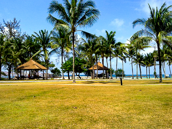 Coastline and coconut trees