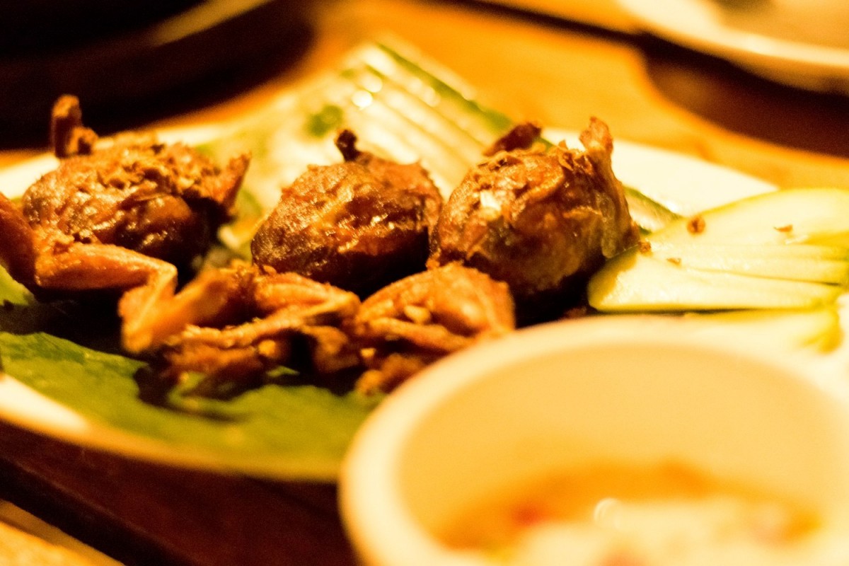 Fried Frog
