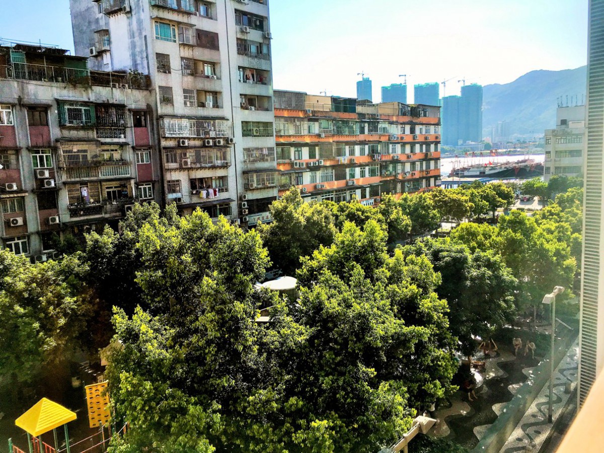 Park with trees and sea port