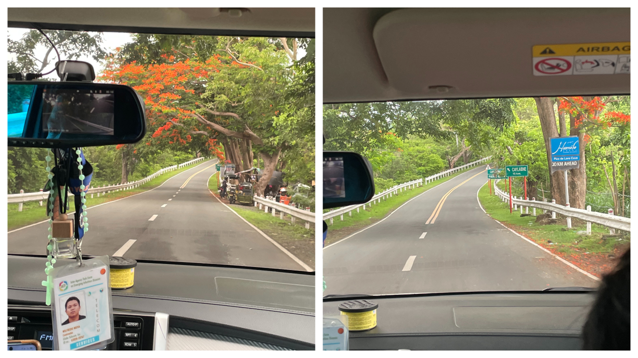 Beautiful Trees Along the Road to Kaybiang Tunnel